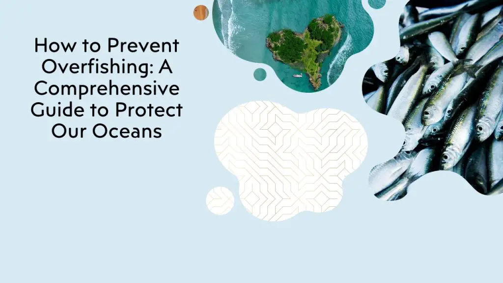 How To Prevent Overfishing A Guide To Protect Our Oceans Outdoor Doer