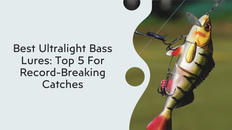 Best Ultralight Bass Lures: Top 5 For Record-Breaking Catches