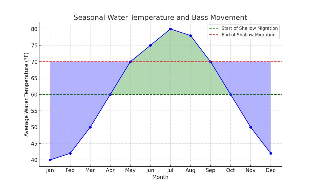 Seasonal Water Temperature and Bass Movement Chart: This chart shows the average water temperature across the months of the year, with annotations indicating when bass start moving to shallow water (green line) and when they are likely to end this migration (red line). The shaded areas represent periods when the water temperature is conducive for bass to be in shallow water.