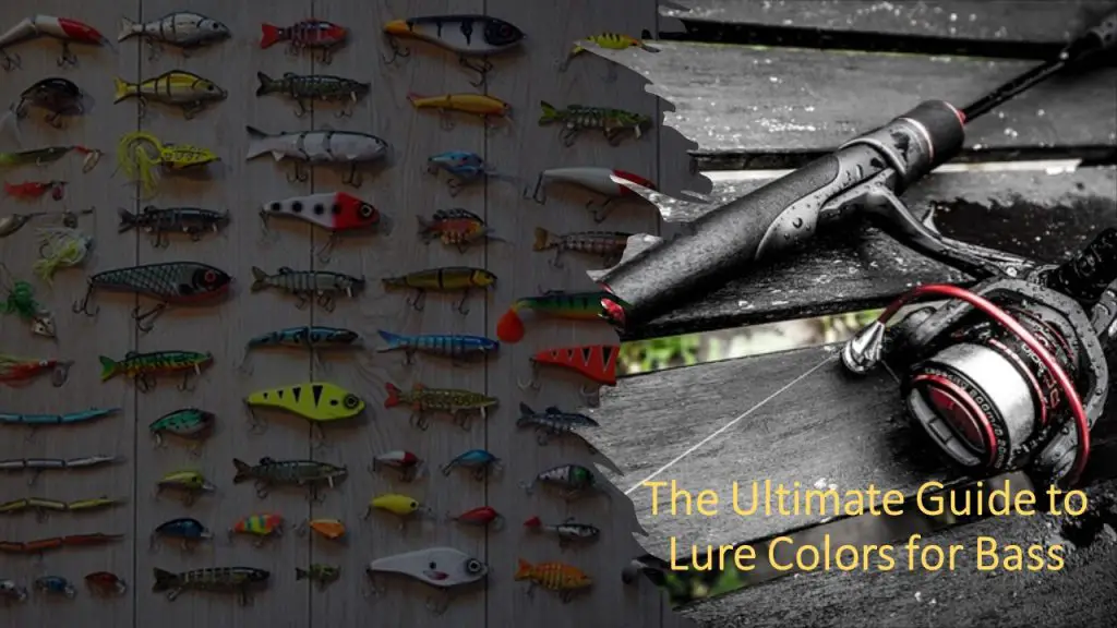The Ultimate Guide to Lure Colors for Bass How to Choose the Best Bait