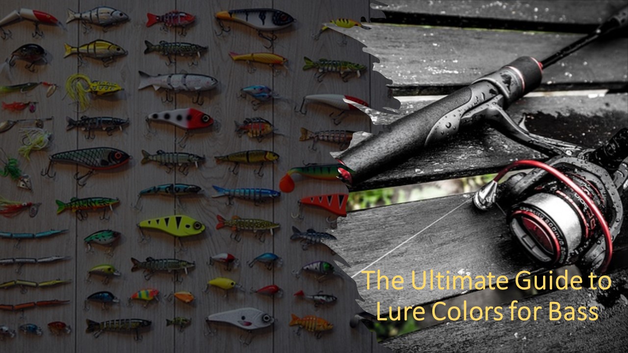 The Ultimate Guide to Lure Colors for Bass