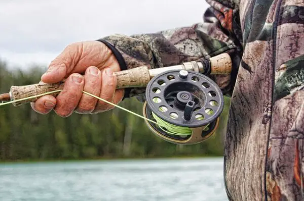 How to Determine Fly Rod Weight? Weight Class Breakdown