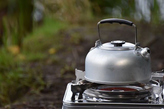 How to Choose the Right Fuel Type for Your Camp Stove