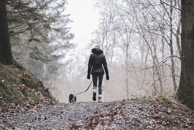 5 Essential Tips for Hiking with Your Dog
