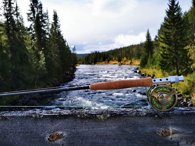 The Best Uses of 7 Weight Fly Rods for Freshwater and Saltwater Fishing