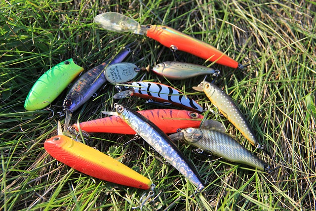 What Lures to Use on Sunny Days? Best Lures to Use to Master the Sun