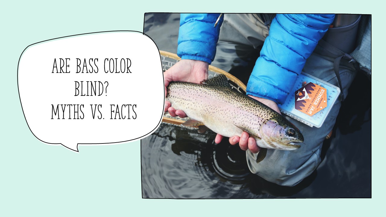 Are Bass Color Blind? Myths vs. Facts