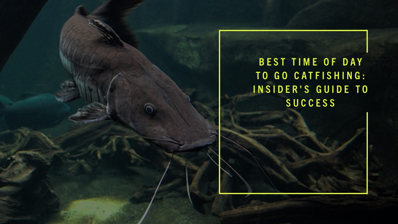 Best Time of Day to Go Catfishing: Insider's Guide to Success
