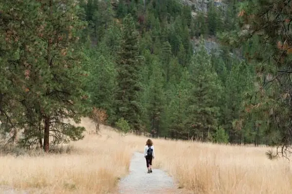 Nature's Restroom: How to Poop in The Woods Without Toilet Paper