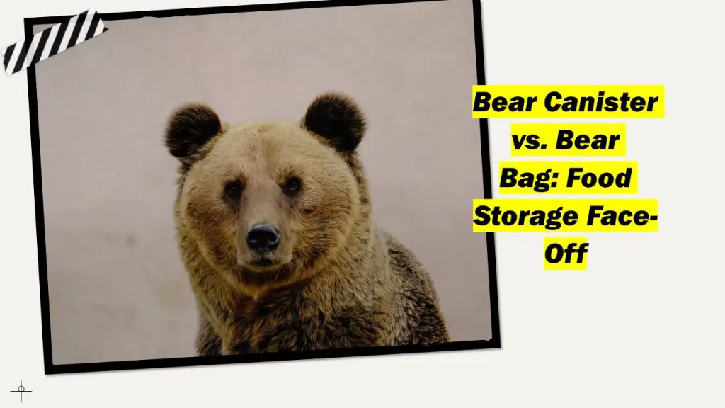 Bear Canister vs. Bear Bag Food Storage FaceOff Outdoor Doer