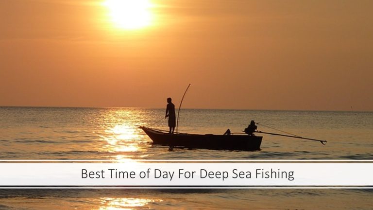 Best Time of Day For Deep Sea Fishing