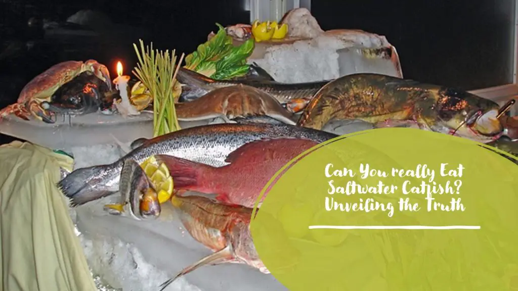Can You really Eat Saltwater Catfish? Unveiling the Truth Outdoor Doer