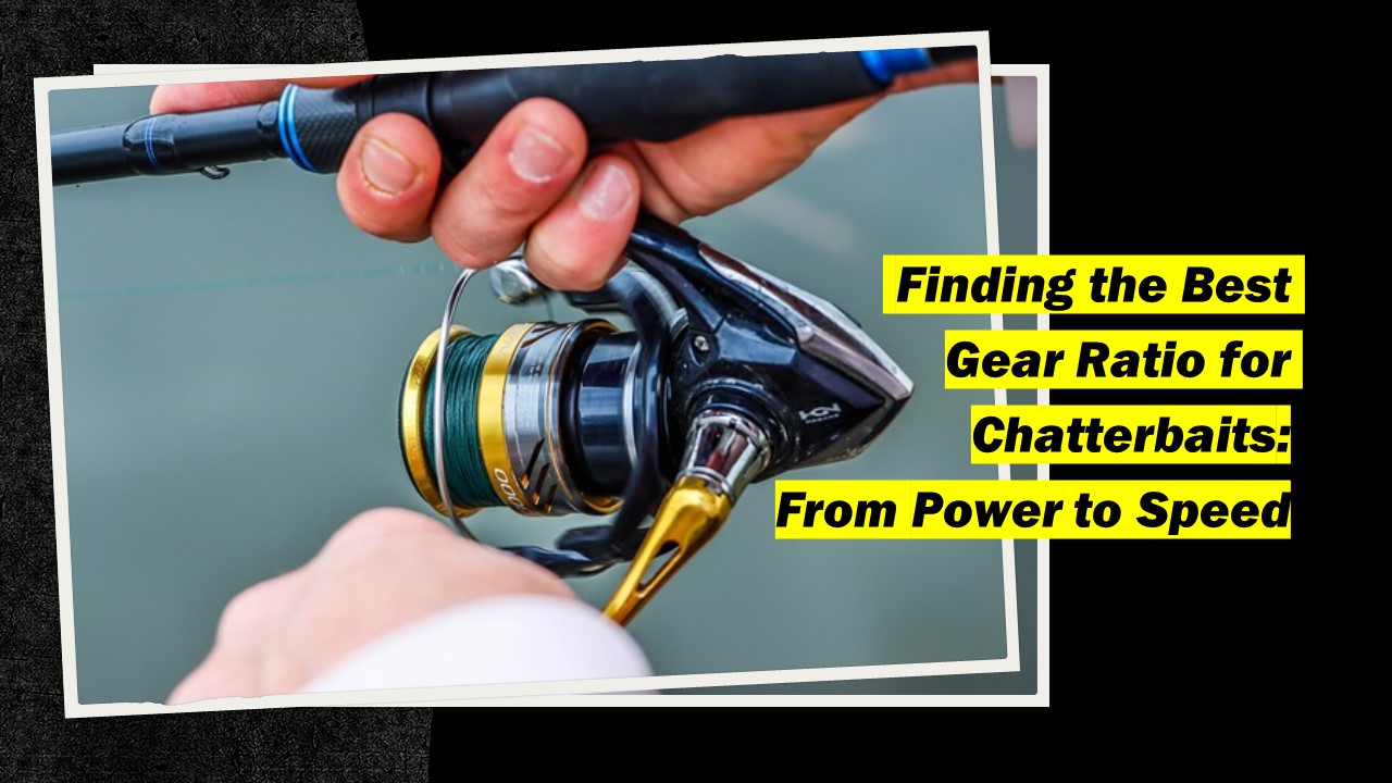  Finding the Best Gear Ratio for Chatterbaits