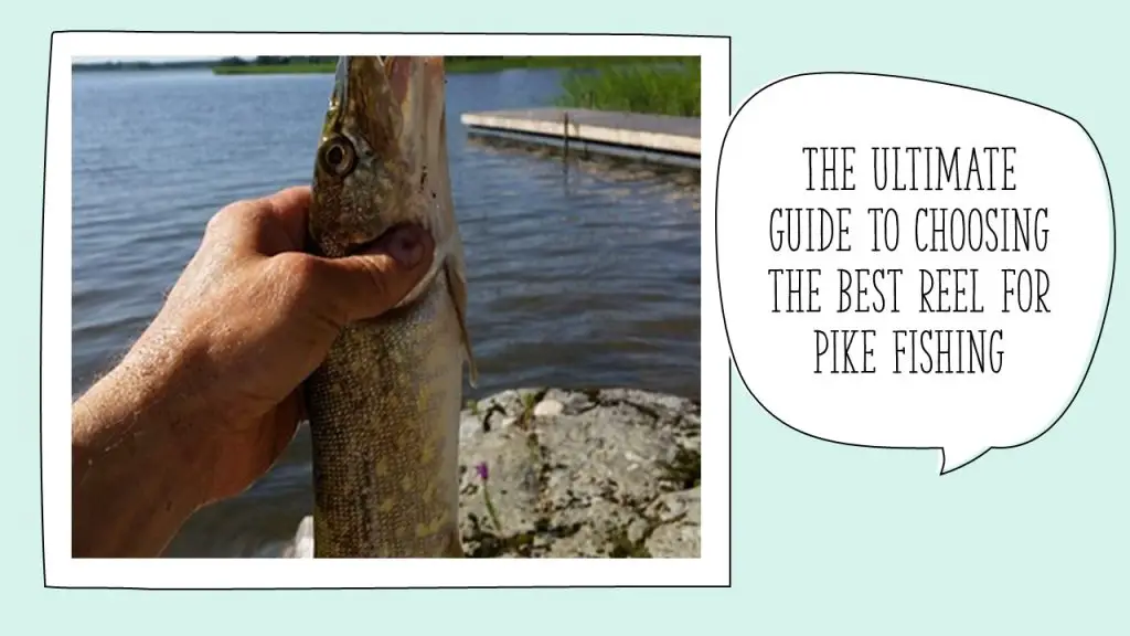 The Ultimate Guide to Choosing the Best Reel for Pike Fishing Outdoor