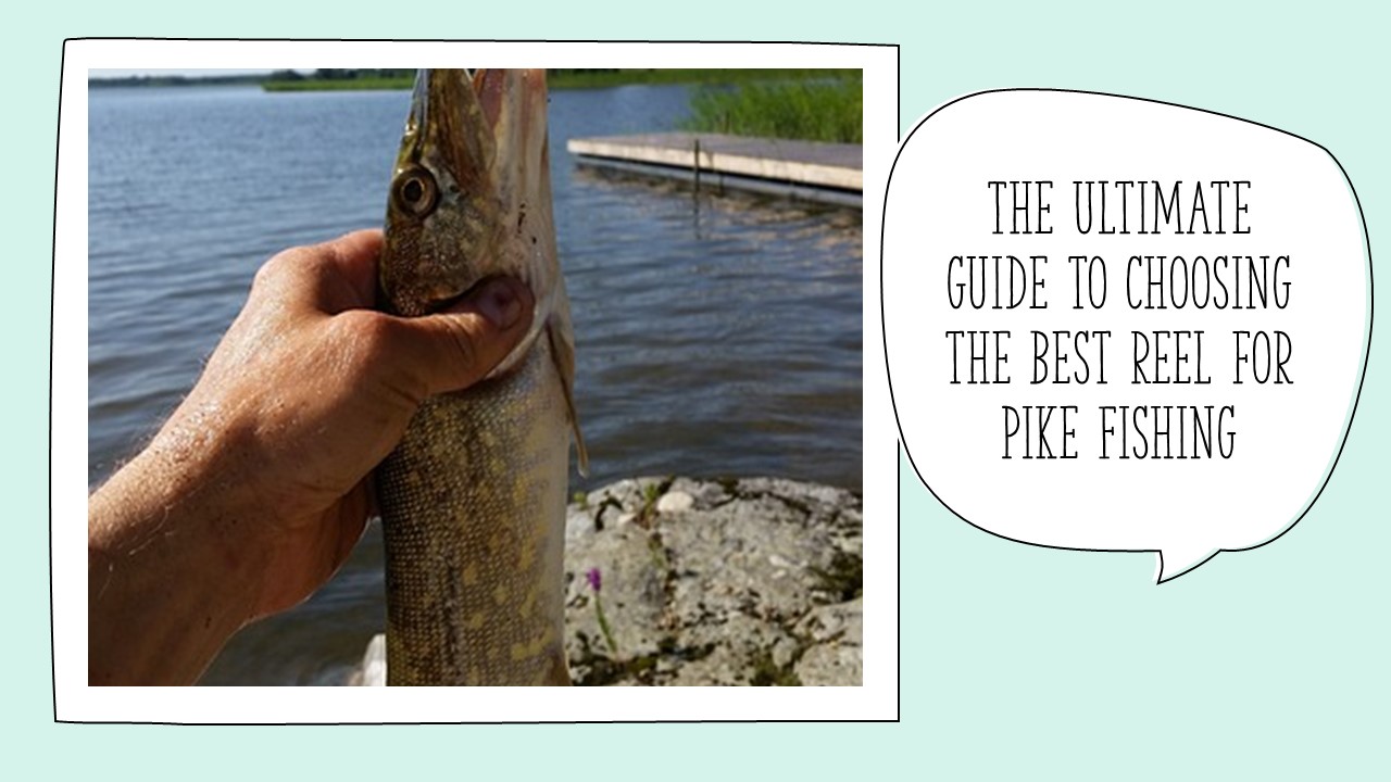 The Ultimate Guide to Choosing the Best Reel for Pike Fishing