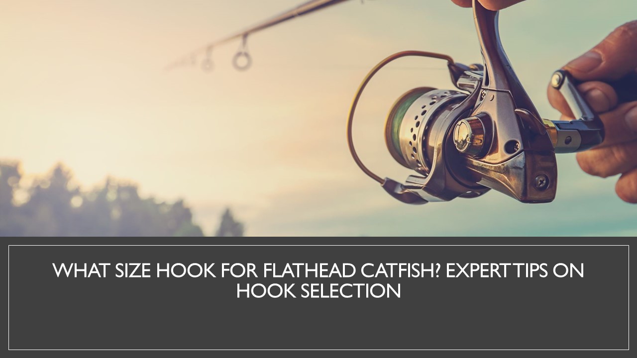 What Size Hook for Flathead Catfish?