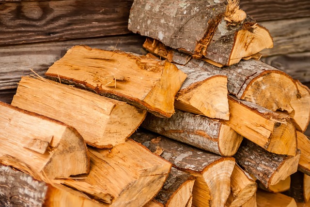  Is Birch Good Firewood? 