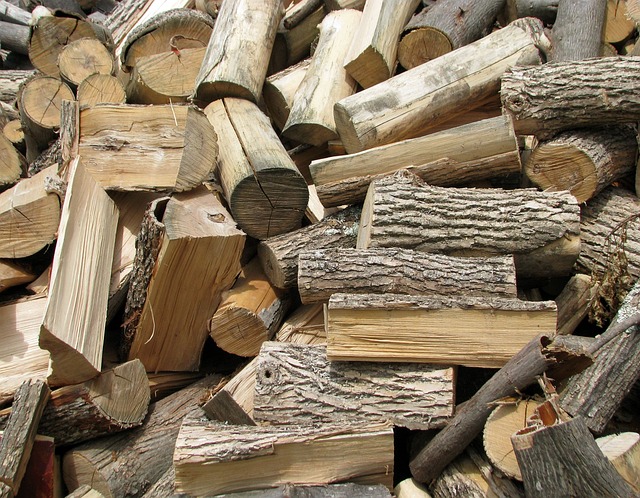 Is Maple Good Firewood?