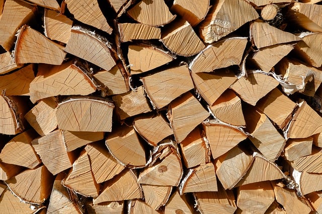  Is Elm Good Firewood?