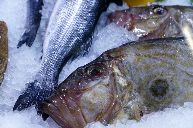 How Long Can You Keep Fish On Ice?