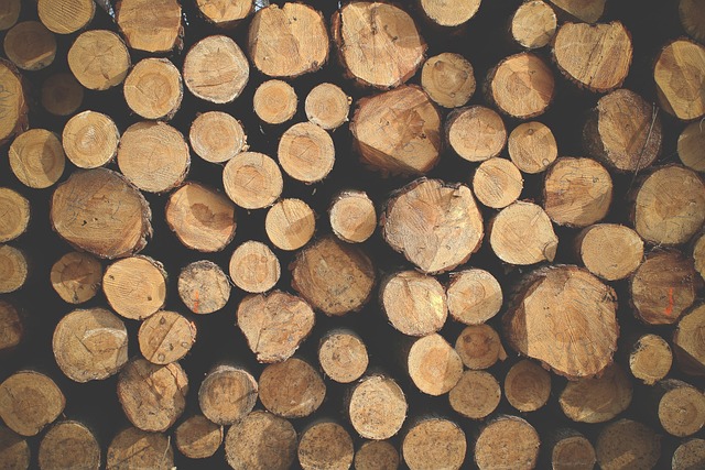  Is Cottonwood Good Firewood?