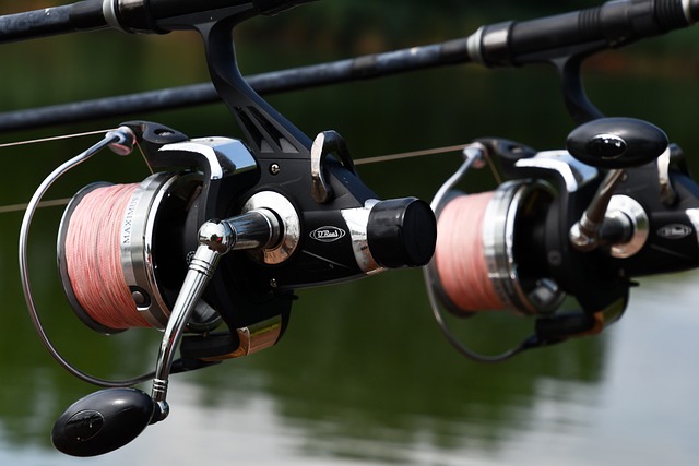 Does Fishing Line Color Really Matter? Revealing the Facts