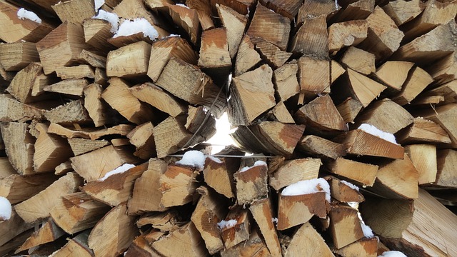  Can You Use Pine for Firewood?