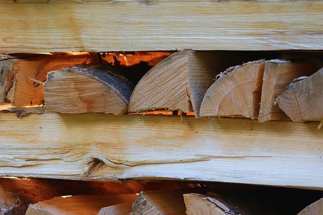 Is Poplar Good Firewood?