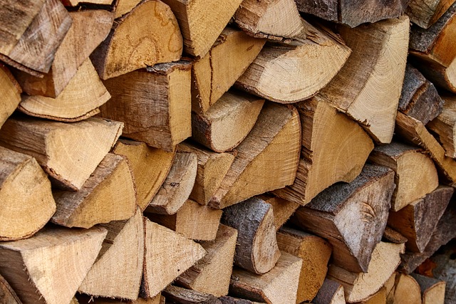 Is Silver Maple Good Firewood?