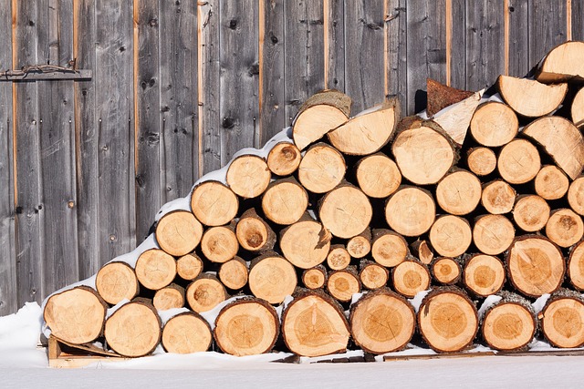 Is Hickory Good Firewood?