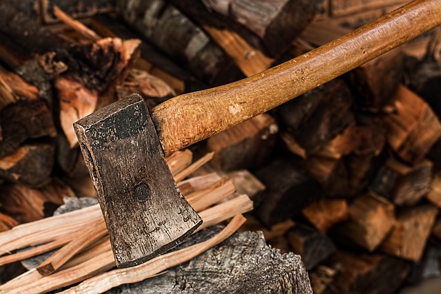 Is Alder Good Firewood?