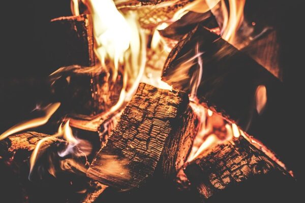 Best Smelling Wood To Burn In Fireplace outdoordoer.com