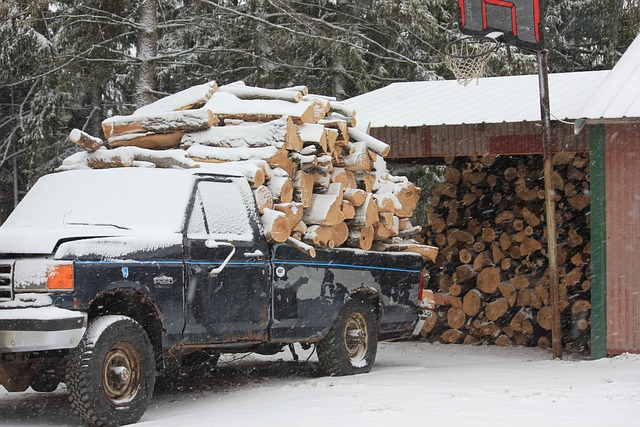  Should You Store Firewood in Your Garage?
