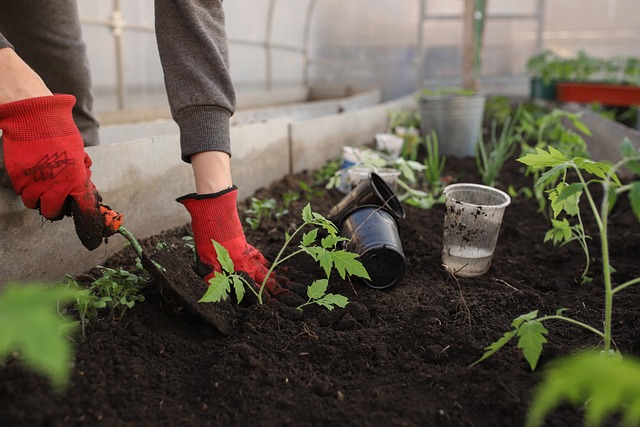  Does Gardening Soil Go Bad?