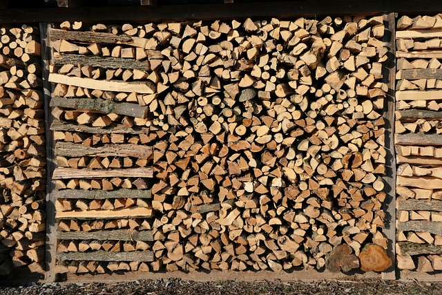 The Best and Worst Firewood for Your Fireplace