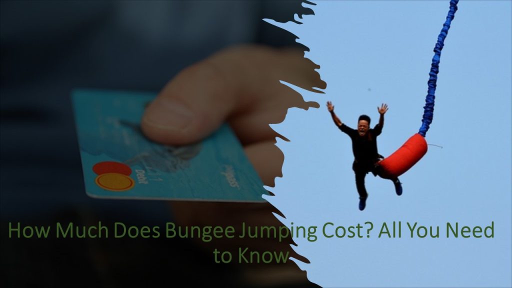 How Much Does Bungee Jumping Cost? All You Need to Know Outdoor Doer