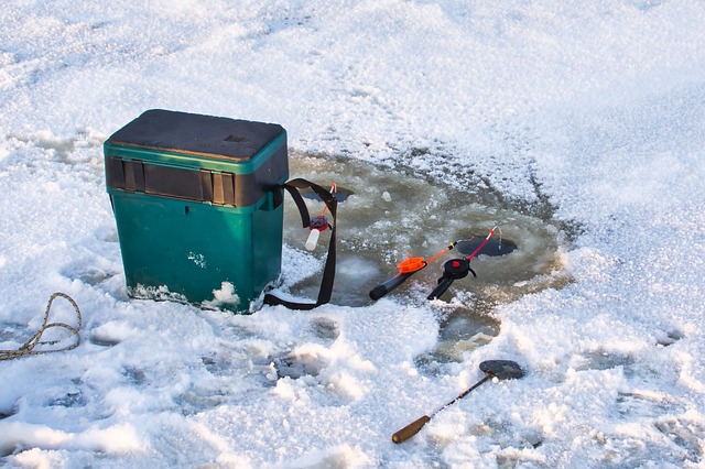 Do Worms Really Work for Ice Fishing?