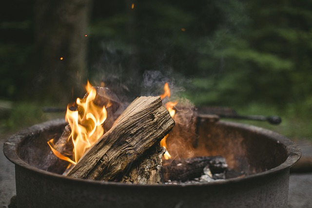 Black Locust Firewood: BTU, Buying, and Burning