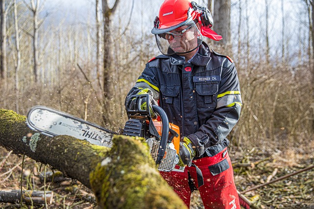 Troubleshooting a Stihl Chainsaw That Won't Start: Common Issues and Solutions