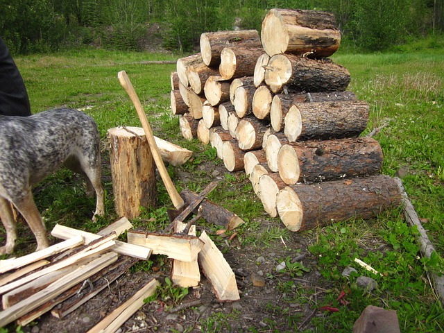 The Ultimate Guide to Selling Firewood: Where, How, and Profits