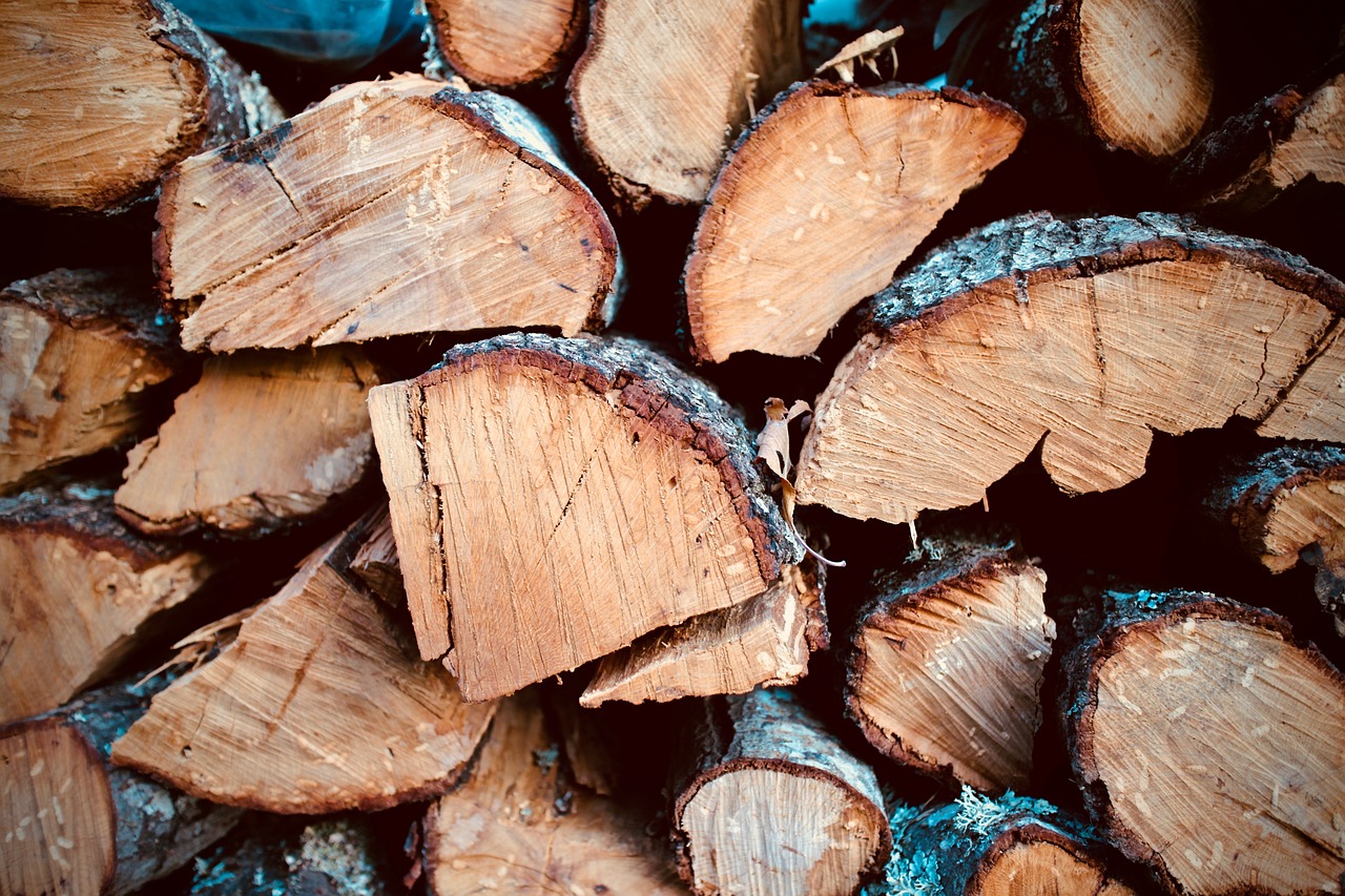 Unveiling the Best to Worst Firewood: A Guide for Efficient Heating