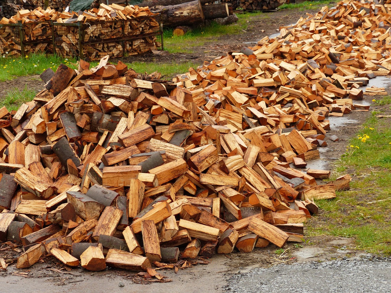 Almond Firewood: Everything There Is to Know