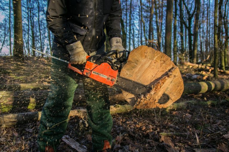 Choosing the Right Chainsaw Chain: A Comprehensive Guide