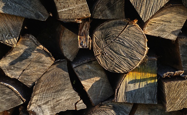 How Long Can You Store Firewood Outside?