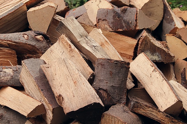 Softwood vs. Hardwood: Choosing the Right Firewood