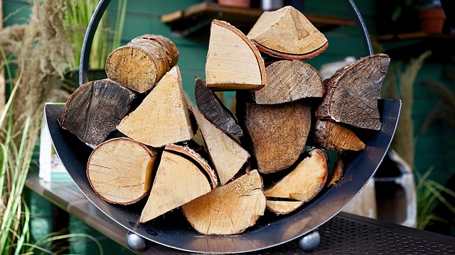 The Advantages of Using Hardwood Firewood