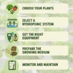 Flat-style infographic titled "Hydroponic Farming for Beginners" with a green leafy background. The image features five illustrated steps for starting a hydroponic garden: choose your plants (with icons of lettuce and strawberries), select a hydroponic system (icon of NFT setup), get the right equipment (pH meter and nutrients), prepare the growing medium (rockwool, clay pellets, coco coir), and monitor and maintain (checklist icon). At the bottom, a box lists related search terms like "homemade indoor hydroponic systems" and "growing vegetables hydroponically at home.