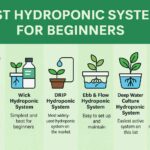 Informational graphic titled "Best Hydroponic Systems for Beginners" displaying six hydroponic systems—Aeroponics, Wick, Drip, Ebb & Flow, Deep Water Culture, and Nutrient Film Technique—each represented with a simple flat-style illustration and a short description highlighting their ease of use and suitability for new growers, set against a green background.