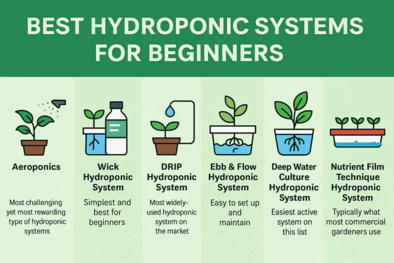 Informational graphic titled "Best Hydroponic Systems for Beginners" displaying six hydroponic systems—Aeroponics, Wick, Drip, Ebb & Flow, Deep Water Culture, and Nutrient Film Technique—each represented with a simple flat-style illustration and a short description highlighting their ease of use and suitability for new growers, set against a green background.