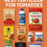A digital graphic displaying nine top-rated tomato fertilizers against a warm orange background with the title 'Best Fertilizer for Tomatoes' in bold white text.